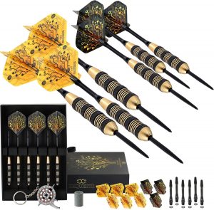 CC-Exquisite Professional Darts Set