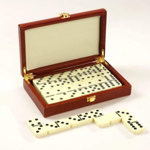 ZOOCEN Dominoes Set In Leatherette Case