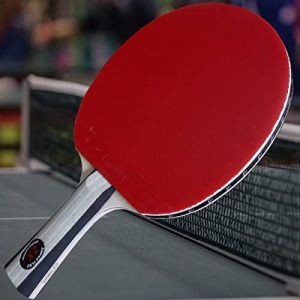 Custom Gambler Professional Table Tennis Paddle