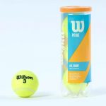 Wilson Prime All Court Tennis Balls