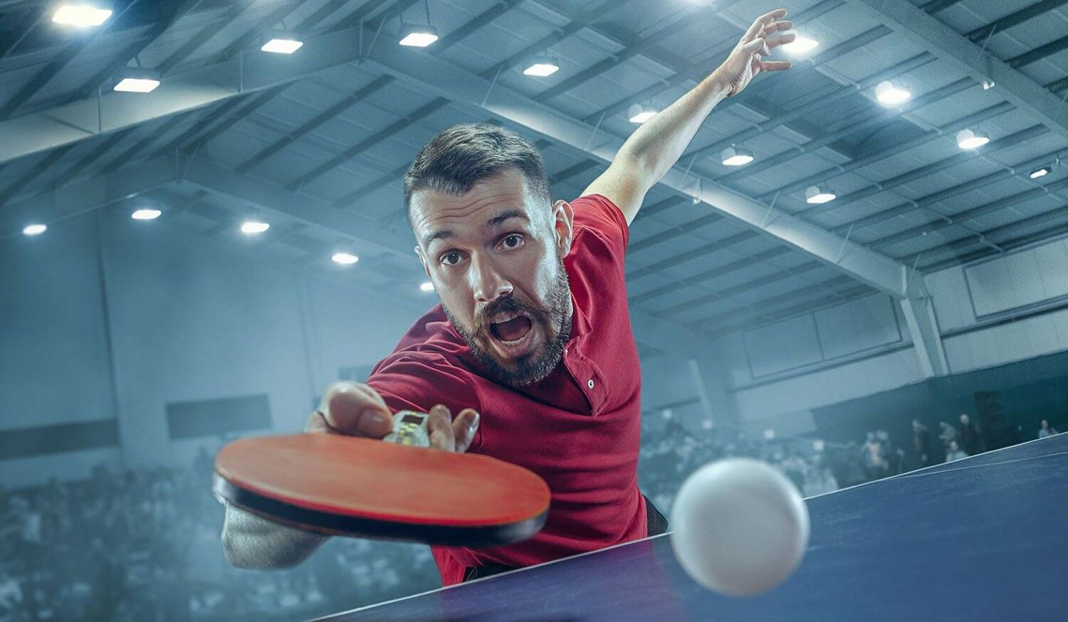 Different Grips In Table Tennis