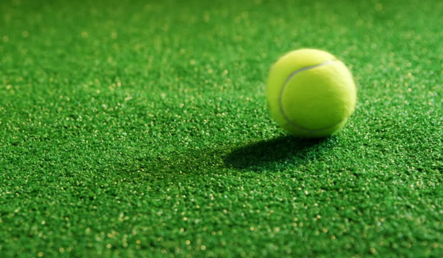 Tennis Grass Surface