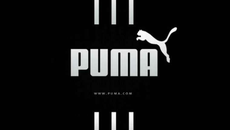 Puma 1