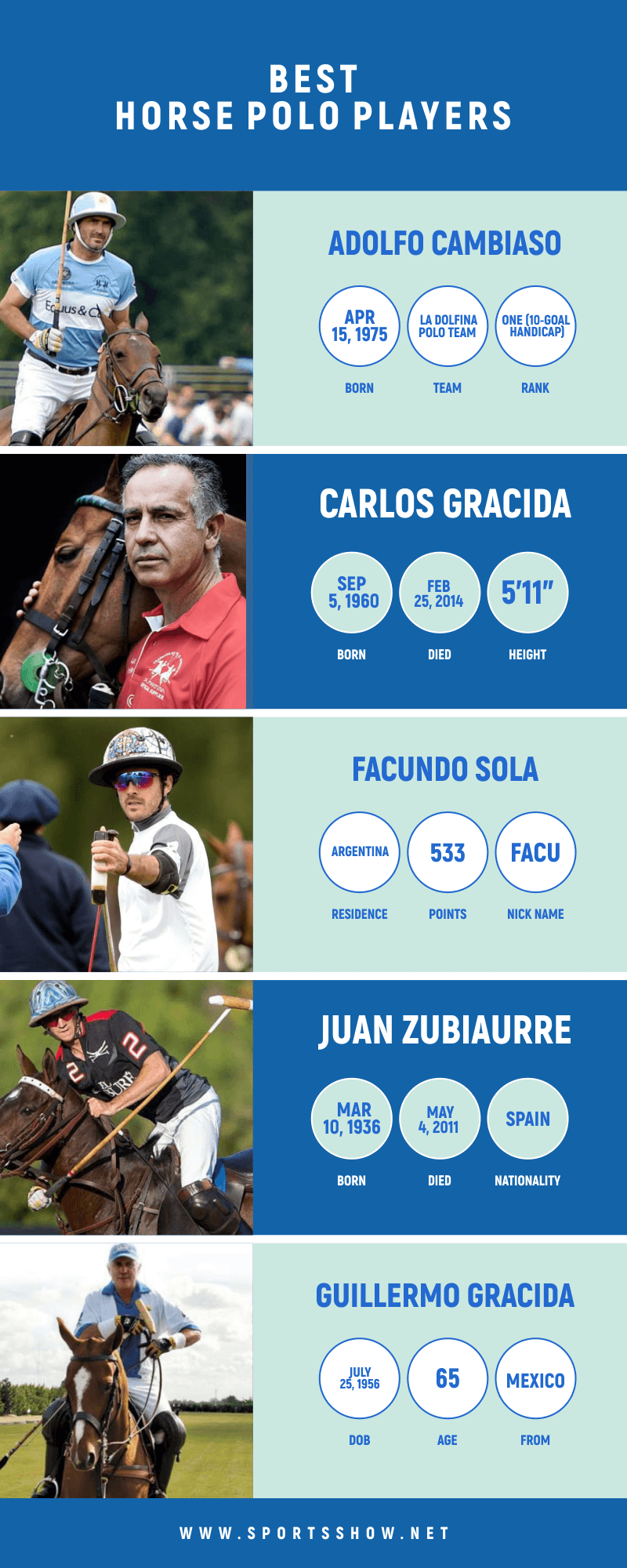 best horse polo players - infographics