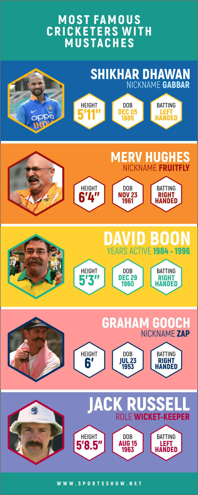 cricketers with mustaches - infographics