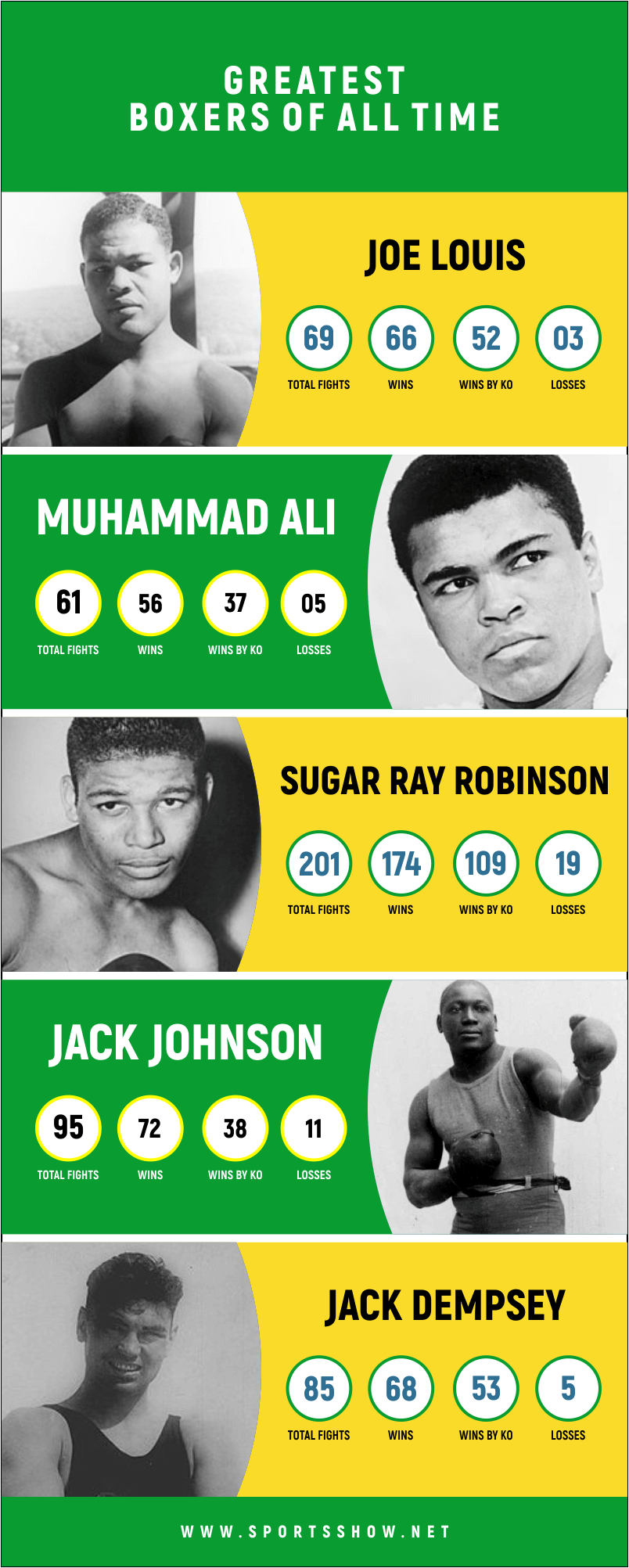 greatest boxers of all time - infographics