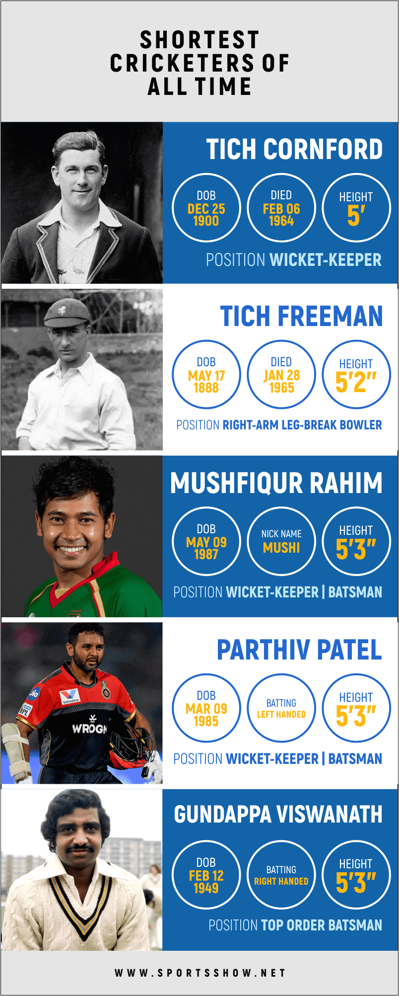 shortest cricketers - infographics