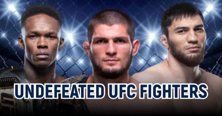 undefeated ufc fighters