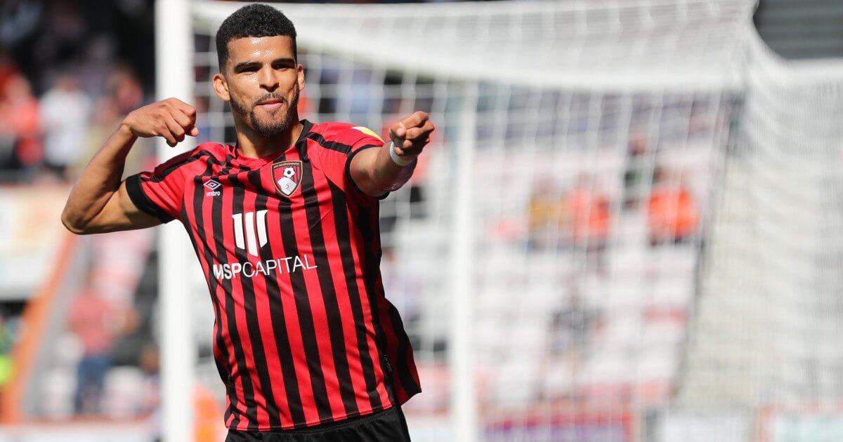 Dominic Solanke Biography And Stats