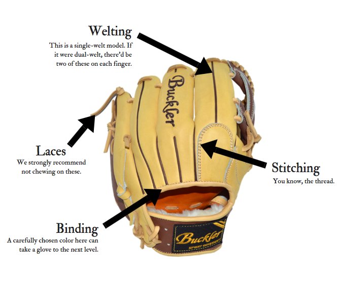 Anatomy of baseball gloves and its binding