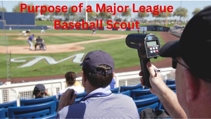 What is a Baseball Scout Team