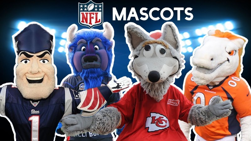 NFL Mascots - Earnings And Salary